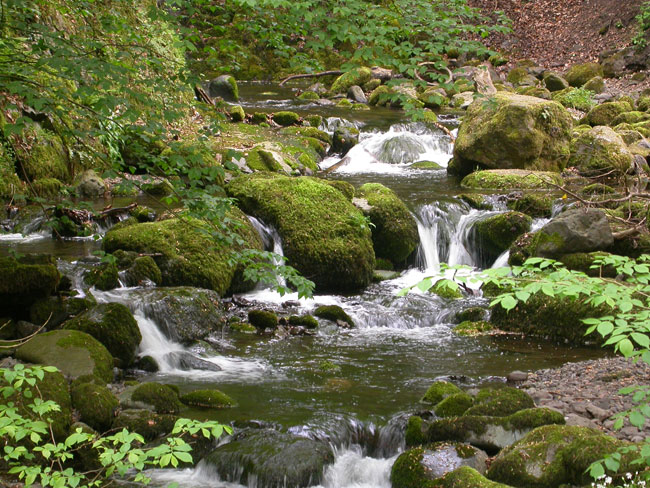 Waterfall on mossy rocks